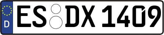 ES-DX1409