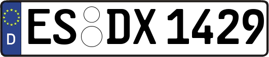 ES-DX1429