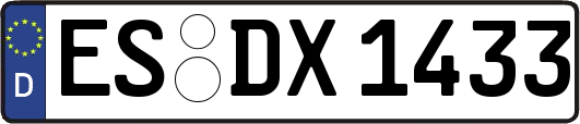 ES-DX1433