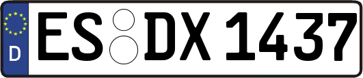 ES-DX1437