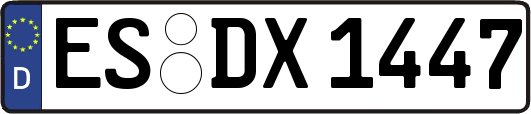 ES-DX1447