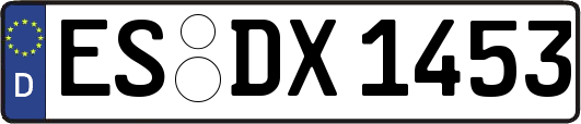 ES-DX1453