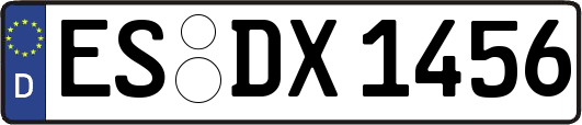 ES-DX1456