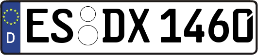 ES-DX1460