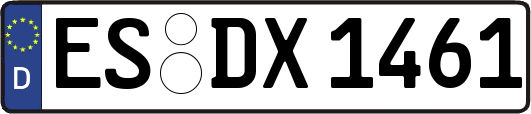 ES-DX1461