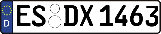 ES-DX1463