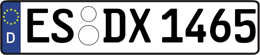 ES-DX1465