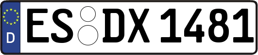 ES-DX1481