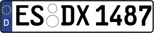 ES-DX1487
