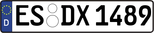 ES-DX1489