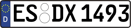 ES-DX1493