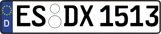 ES-DX1513