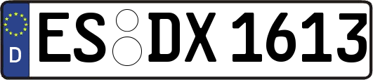 ES-DX1613
