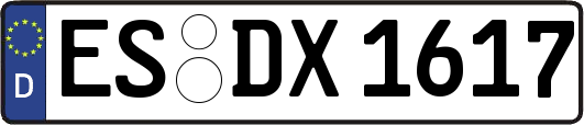 ES-DX1617