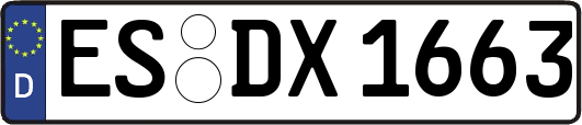 ES-DX1663