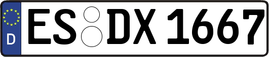 ES-DX1667