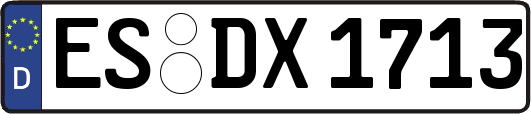 ES-DX1713
