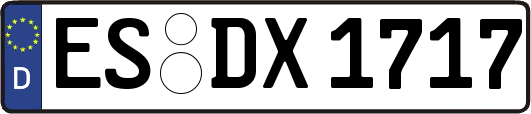 ES-DX1717