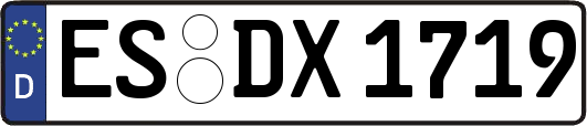 ES-DX1719