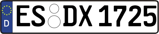 ES-DX1725
