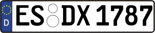 ES-DX1787