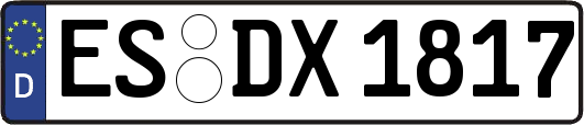 ES-DX1817