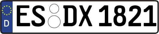 ES-DX1821
