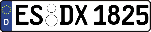 ES-DX1825