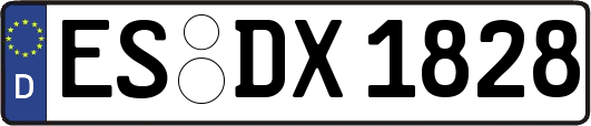 ES-DX1828