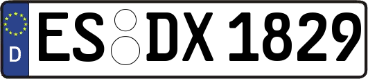 ES-DX1829