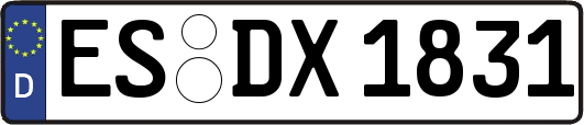 ES-DX1831
