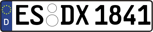ES-DX1841