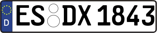 ES-DX1843
