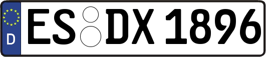 ES-DX1896