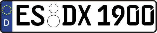 ES-DX1900
