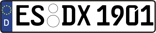 ES-DX1901