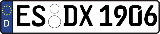 ES-DX1906