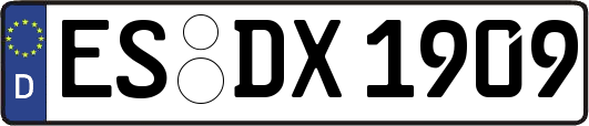 ES-DX1909