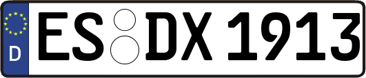 ES-DX1913