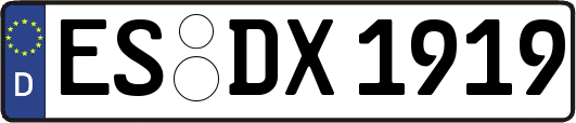 ES-DX1919