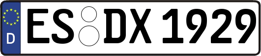 ES-DX1929
