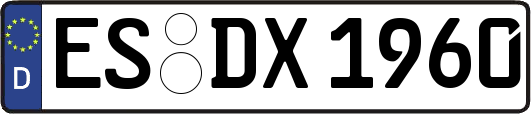 ES-DX1960