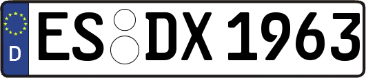 ES-DX1963