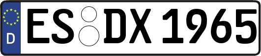 ES-DX1965