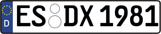 ES-DX1981