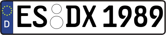 ES-DX1989