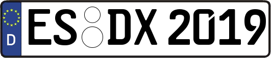 ES-DX2019