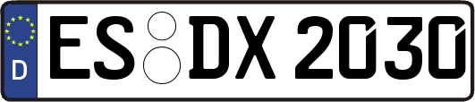 ES-DX2030