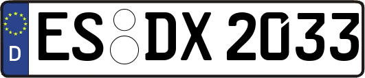 ES-DX2033