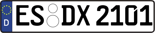 ES-DX2101